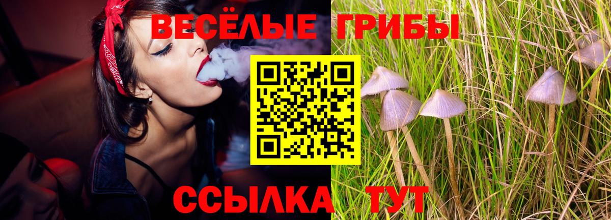 ГАШИШ  COCAIN  Метадон  Кизилюрт  ГАШ  Конопля  Вход с VPN  Меф МЯУ МЯУ  